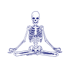 Yoga Anatomy