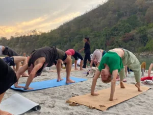 500-Hour Yoga Teacher Training in Rishikesh at Jeevatman Yogshala