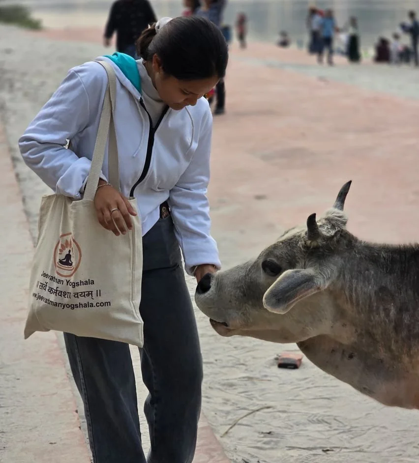 Yoga retreat students on a mindfulness natre walk neath the ganga river in rishikesh